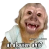 Monos y frases 💬🙊 7