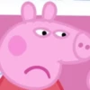 🐽 PEPPA PIG 🐽 6