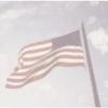 American vibes 9