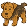 Welsh / Airedale Terrier by the Atelier Dog 7
