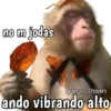 Monos y frases 💬🙊 8