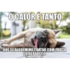 NÍVEL DE CALOR 🔥 9