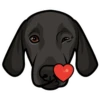 Poppy 7