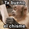 🐵🌴🙊 MONOS 🙊🌴🐵 10