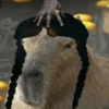 Capibara Random 🍉 12