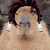 Capibara Random 🍉 13