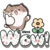 Meow y su pandilla 😹💗😹 12