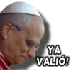papa león XIV 11