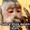 🐵🌴🙊 MONOS 🙊🌴🐵 11
