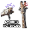 AMORCITO NO TENOJES Persy