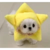 Cute Pets 🐶🐱🐰🐕 13