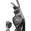 Spicy Meme Pack 1 13