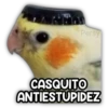 Persy CASQUITO ANTIESTUPIDEZ
