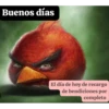 Buenos días 11