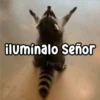 ilumínalo Señor Persy