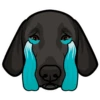 Poppy 9