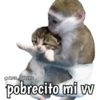 Monos y frases 💬🙊 12