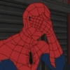 Memes homem aranha 13