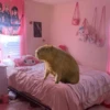 Capibara Random 🍉 17