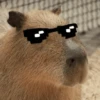 Capibara Random 🍉 18