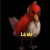 Memes Angry birds 6
