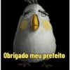 Memes Angry birds 7