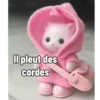 Ternurines en francés 11