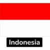 Asian Flags-1 11