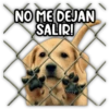 NO ME DEJAN SALIR! Persy