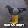 Persy mucho lunes