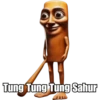 🗣️ TikTok Brainrot 💀 14