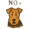 Welsh / Airedale Terrier by the Atelier Dog 8