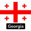 Asian Flags-1 12