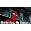 soy admin 19