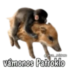 Monos y frases 💬🙊 14
