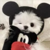 Cute Pets 🐶🐱🐰🐕 19