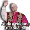 Papa Leon XIV 2😎 13