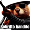🗣️ TikTok Brainrot 💀 15