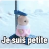 Ternurines en francés 13