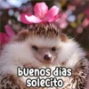 Persy buenos días