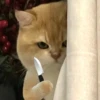 Emotional Damage Cat Sticker 23