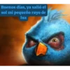Buenos días 14