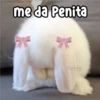 me da Penita Persy