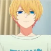 Aquamarine Hoshino Pack 4 18