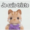 Ternurines en francés 14