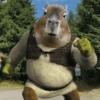Capibara Random 🍉 20