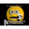 soy admin 23
