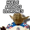 América 👑⚽ 21