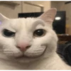 Silly cars 10