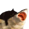 Spicy Meme Pack 1 17